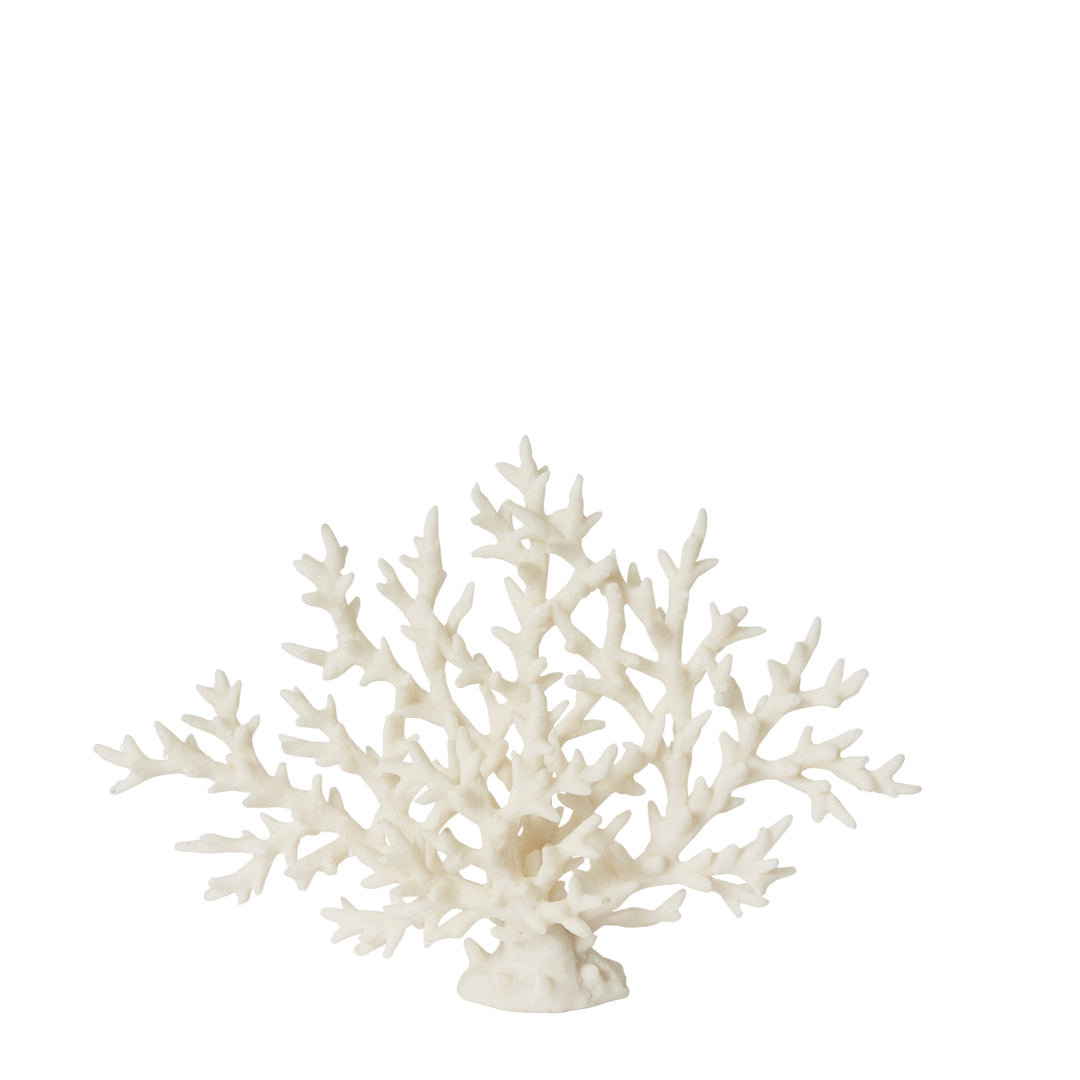 Coral Staghorn Sculpture 28x7x21cm White