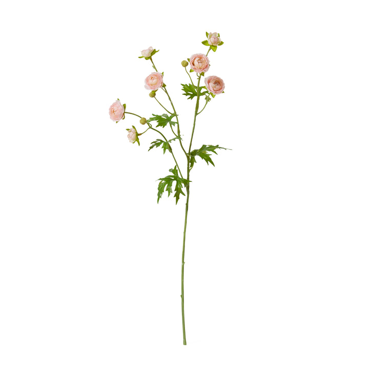 Ranunculus Spray Soft Pink 20x12x56cm