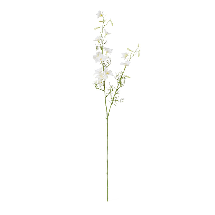 Delphinium Spray White 20x15x97cm