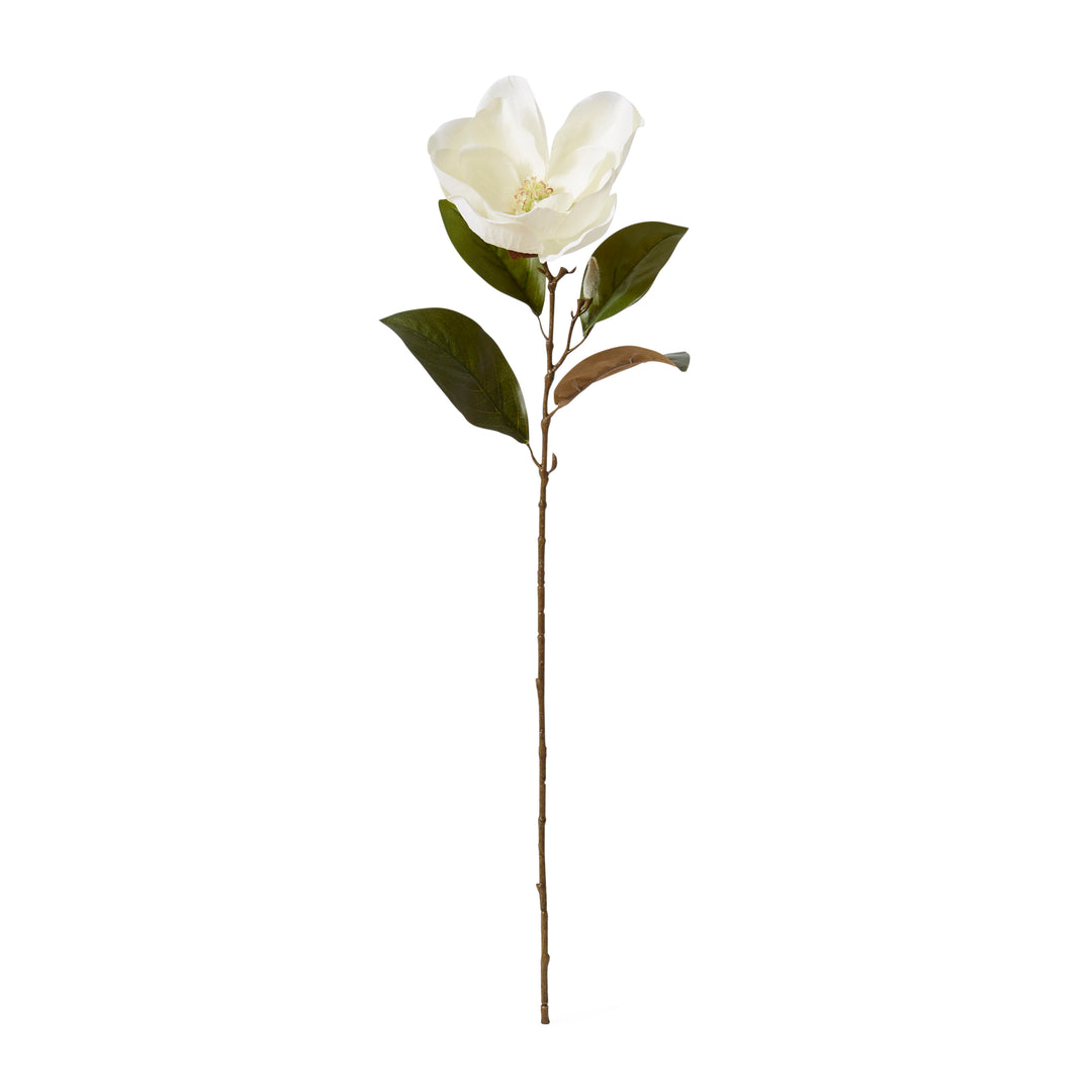 Magnolia Flower Stem 20x14x74cm White