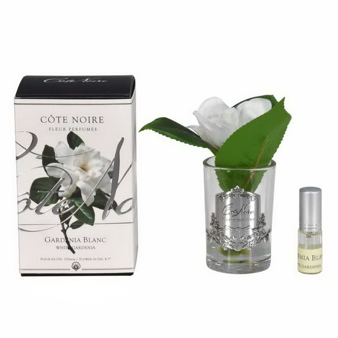 Cote Noire Perfumed Single Gardenia - Frost Glass