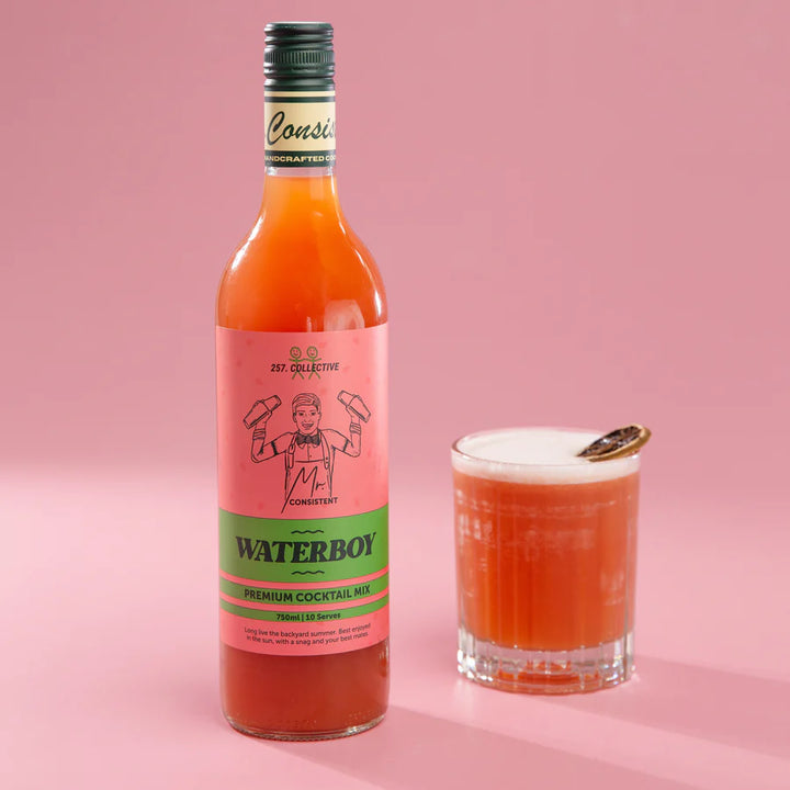 Waterboy Mixer 750ml