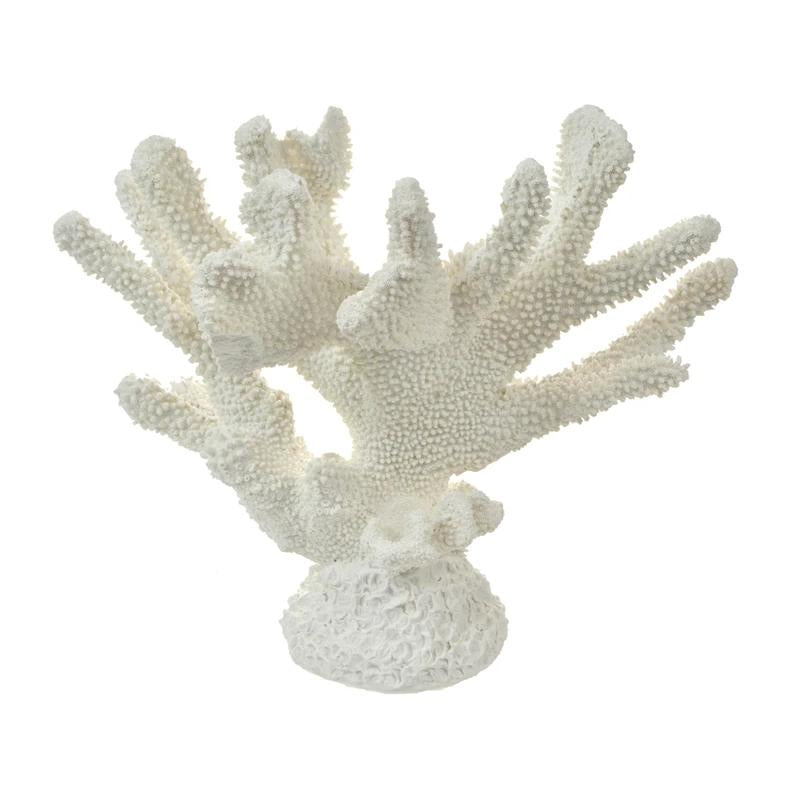 Poly White Anenome Large Coral