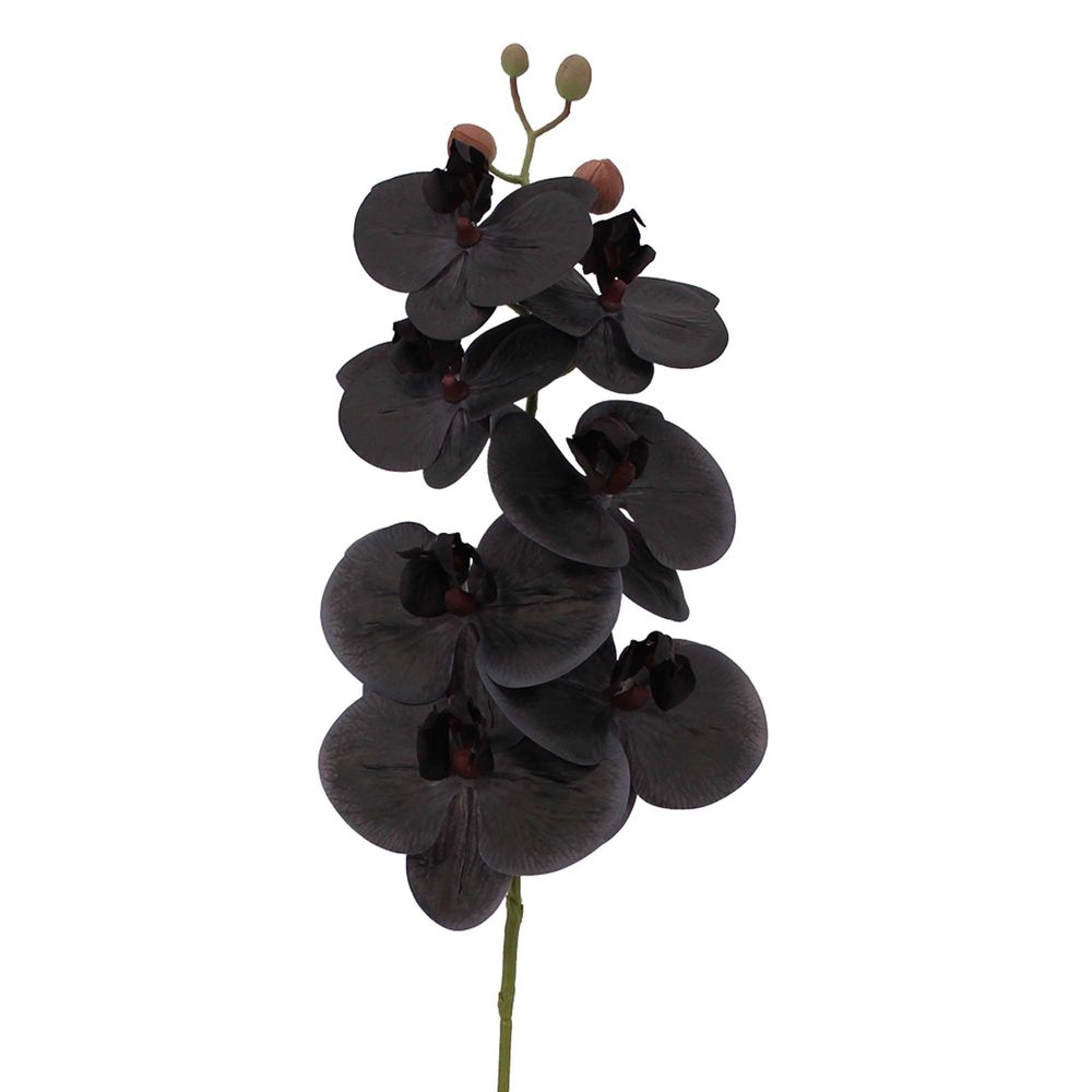 Real Touch Orchid Phalaenopsis Spray 70cm Black