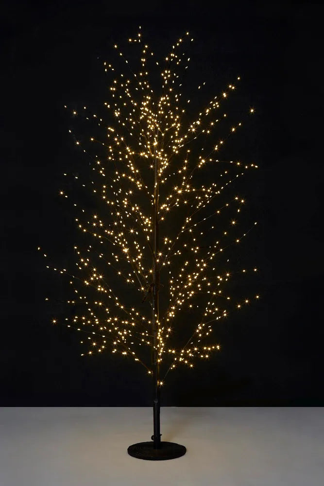 Black Forest Light Up Tree with 900 lights 150cm
