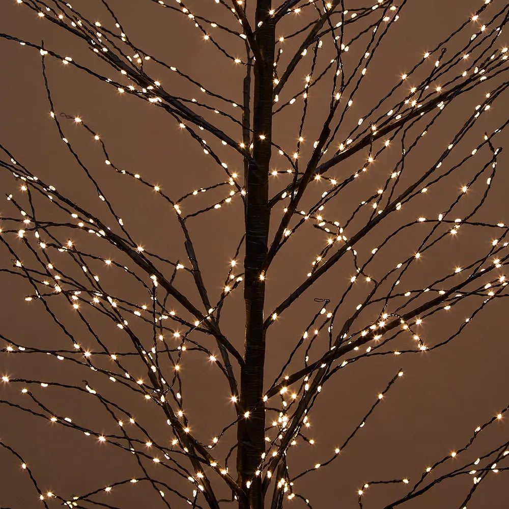 Black Forest Light Up Tree with 900 lights 150cm