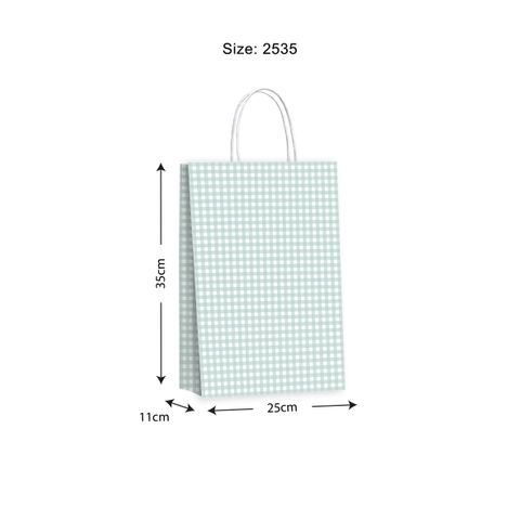 Gift Bag Gingham Seafoam 21x27cm