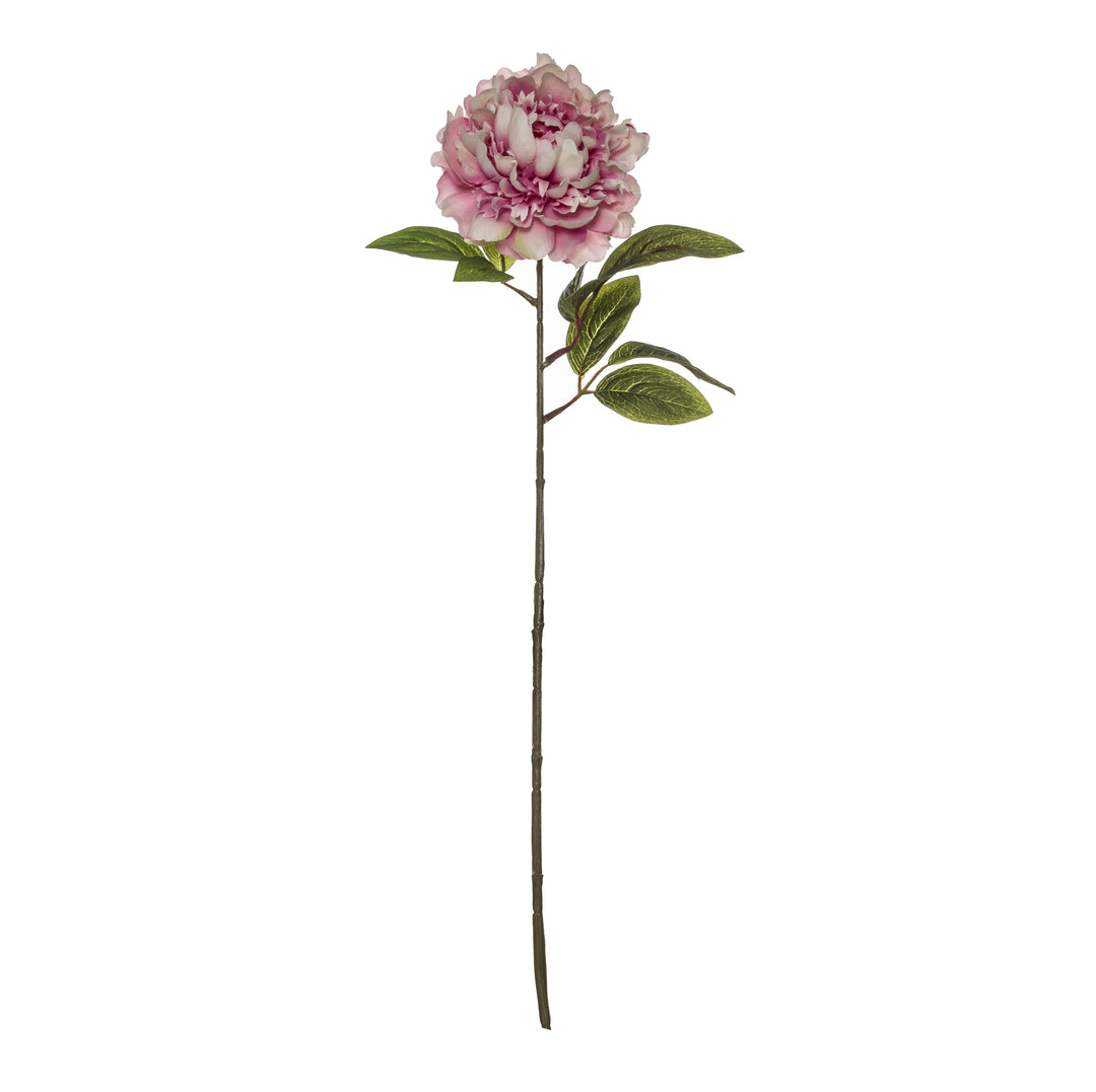 Peony Stem Pink 71cm